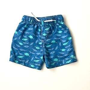Carter’s Boys Swim Trunks Size 18M